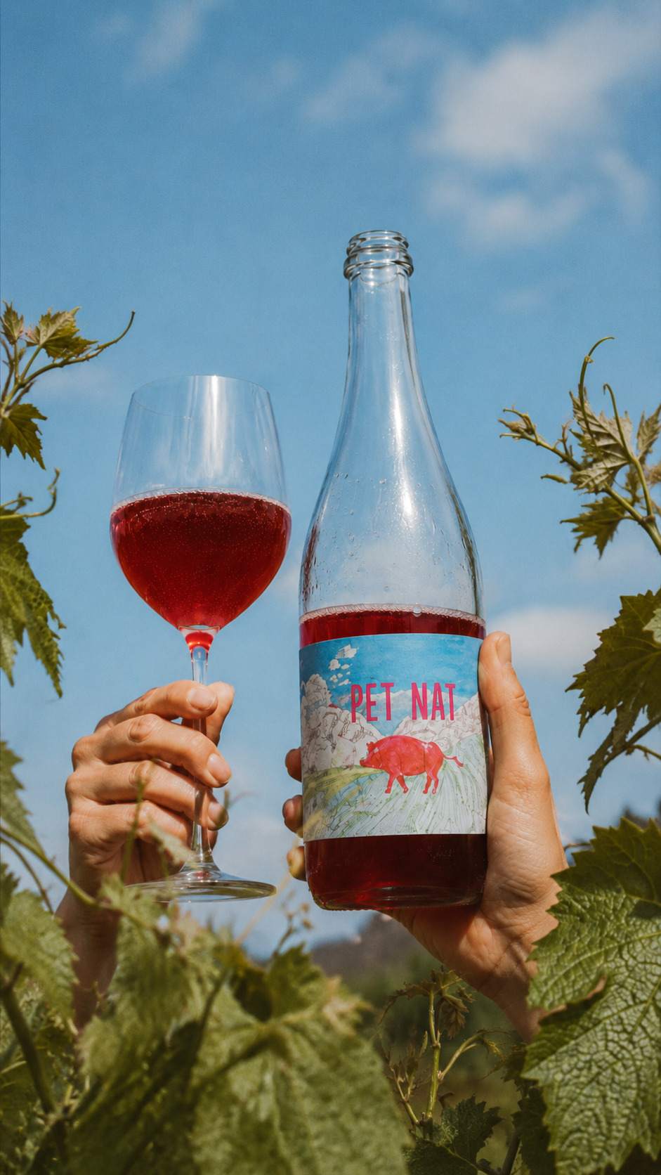Wine Journey